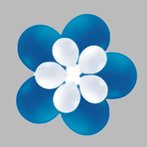 Balloon_Kit-27220 Flower balloon BK 17A