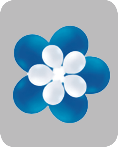 Balloon_Kit-27220 Flower balloon BK 17A