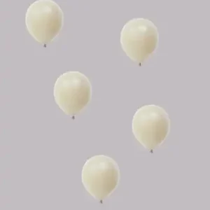Pastel-decoratie-ballonnen-No.17-VT Ballon no. 12 fossil vintage